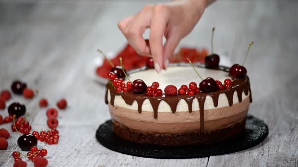 Потрійний шоколадний торт мус, прикрашений свіжими ягодами
. - Кадри, відео