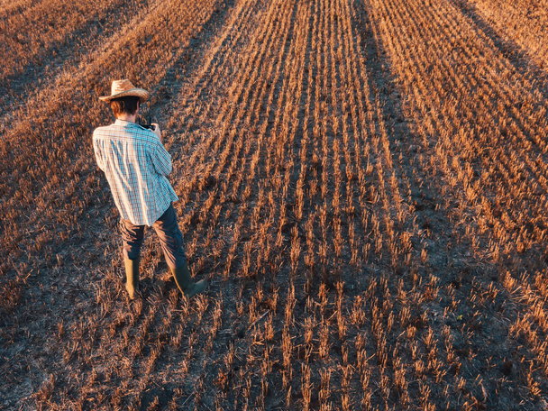 Rear view of male farmer flying a drone with remote control in harvested wheat stubble field in summer sunset - Фото, зображення