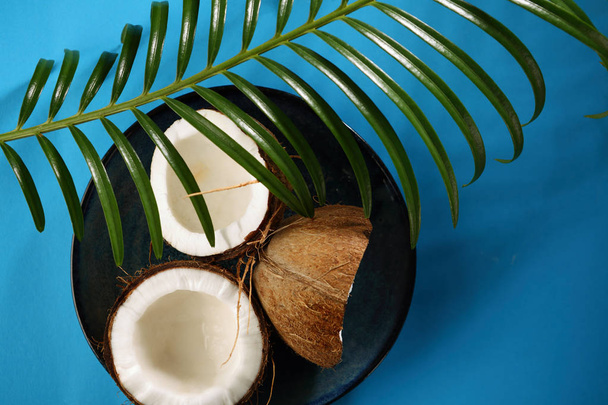 Tropical coconut and leaves - Foto, afbeelding