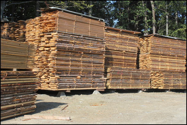 Empilements de planches de bois
 - Photo, image