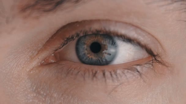 Close-up van een mannetjes-oog - Video
