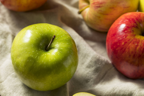 Raw Organic Assorted Apples Ready to Eat - Zdjęcie, obraz
