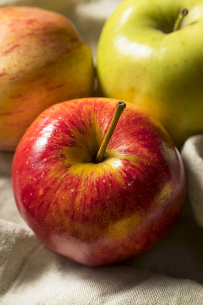 Raw Organic Assorted Apples Ready to Eat - Fotografie, Obrázek