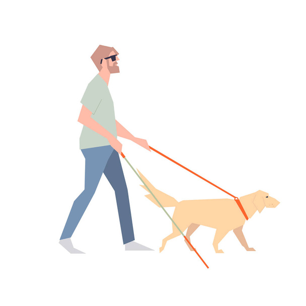 Τυφλός με ραβδί. Ο τυφλός περπατάει δίπλα στο σκυλί με έναν οδηγό. Ένας τυφλός περπατάει κατά μήκος του δρόμου. - Διάνυσμα, εικόνα