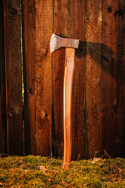 old ax near a wooden fence in the forest at sunset - Photo, Image