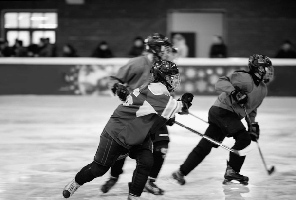 women's hockey team play on ice - Photo, Image
