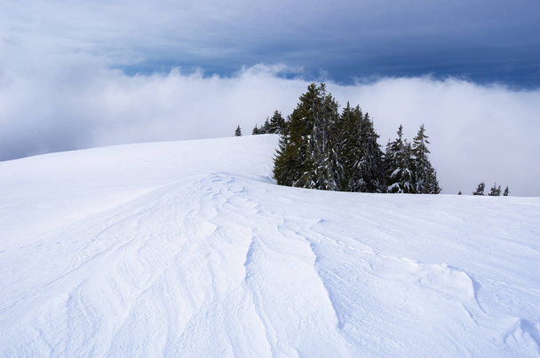 Зимовий пейзаж зі снігопадами. Ранок у горах
 - Фото, зображення