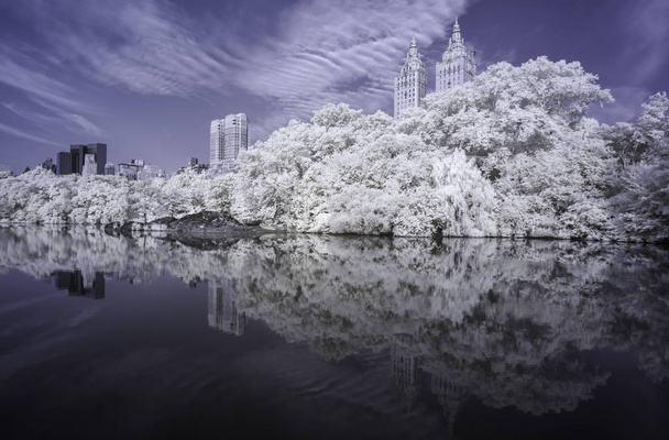 Infrapuna valokuva New Yorkin horisonttiin katsottuna Central Park, jossa rakennuksia ja puita taustalla ja järven etualalla
 - Valokuva, kuva