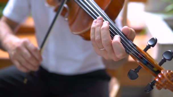 Zenész közelkép hegedűről, klasszikus zene - Felvétel, videó