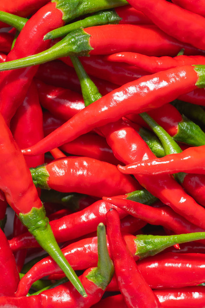 Closeup of fresh red hot thai chili peppers - Photo, Image