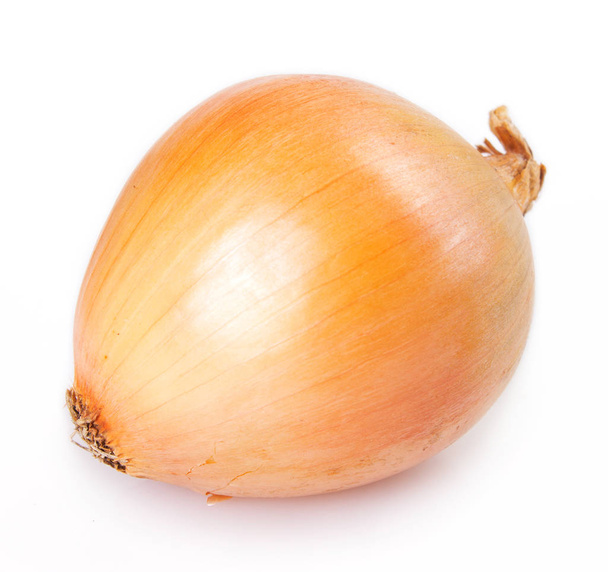 Cebolla fresca aislada sobre fondo blanco - Foto, Imagen