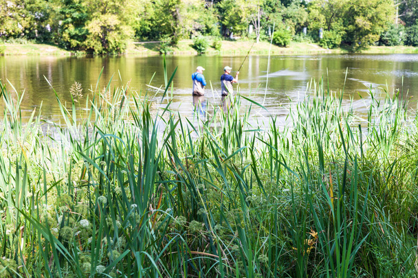 svěží zelené trávě na břehu řeky Zhabenka u rybníka velká zahrada (velký Academicheskiy) v Timiryazevskiy parku Moskva v létě - Fotografie, Obrázek