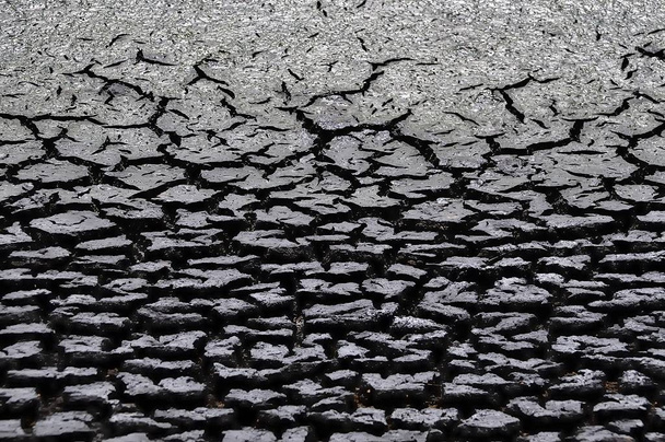 Pękanie gleby - wpływ klimatu lub naszej cywilizacji? - Zdjęcie, obraz