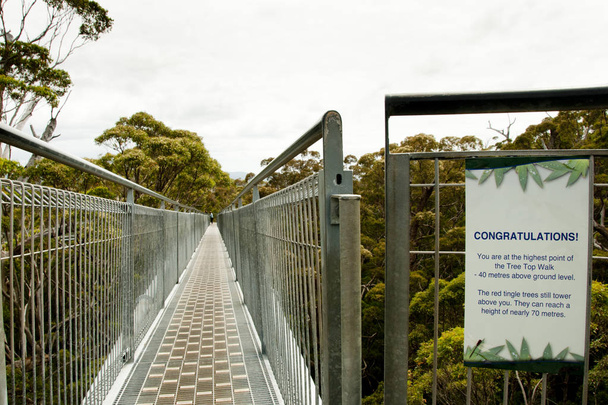 Caminata por el Valle de los Gigantes - Walpole - Australia
 - Foto, Imagen