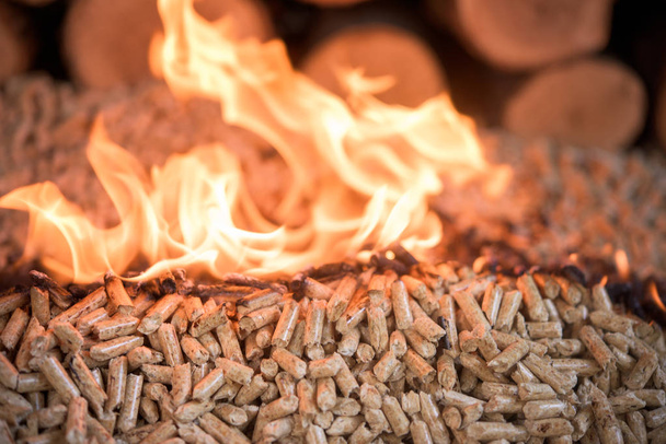 Pellets de roble de madera en llamas
 - Foto, Imagen