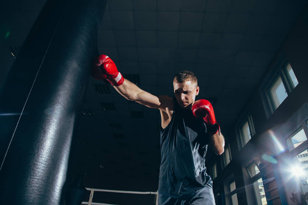 Boxer training on a punching bag in the gym. - Valokuva, kuva