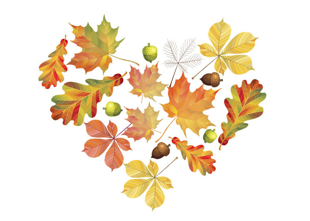 Heart of colorful autumn leaves isolated on white background. Simple cartoon flat style. Vector illustration - Vetor, Imagem