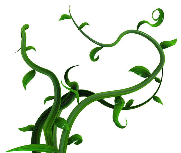 Plant vines bunch green leaves, 3d illustration, horizontal, isolated, over white - Photo, Image