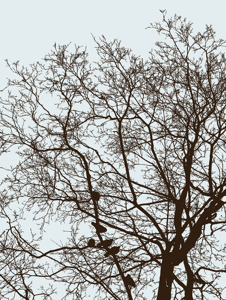Silhouettes of tree branches and birds in cold season - Vector, Image