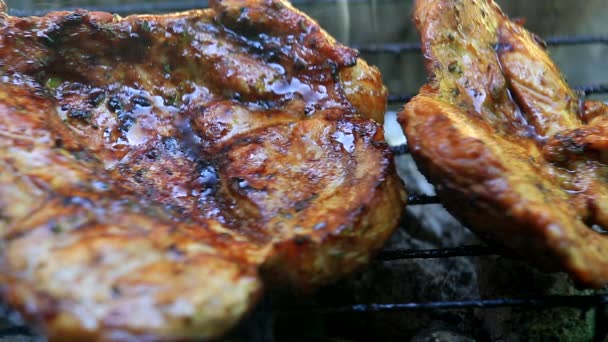 Asar carne fresca en el primer plano de barbacoa
 - Metraje, vídeo