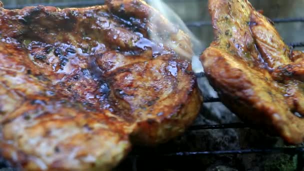 rôtir de la viande fraîche sur le barbecue gros plan
 - Séquence, vidéo