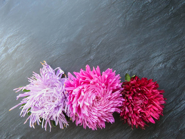 Värikäs aster kukkia muodostavat kehyksen tummalla pohjalla, minimaalinen käsite, ylhäältä, kopioi tilaa tekstin Group Objects
 - Valokuva, kuva