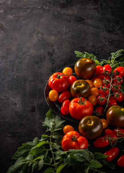 Fresh organic tomatoes on drungy black background, copy space - Valokuva, kuva