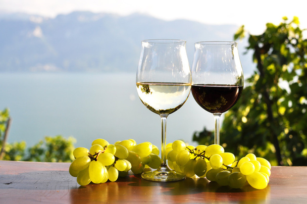 dwa kieliszki i winogrona przed nad Jeziorem Genewskim. w regionie Lavaux, s - Zdjęcie, obraz