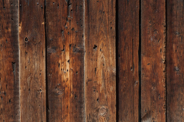 Texture of rotting wood close-up - Photo, Image