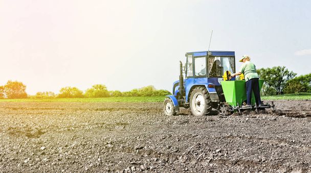 Farm work in the field. Planting potatoes with a tractor. - Zdjęcie, obraz