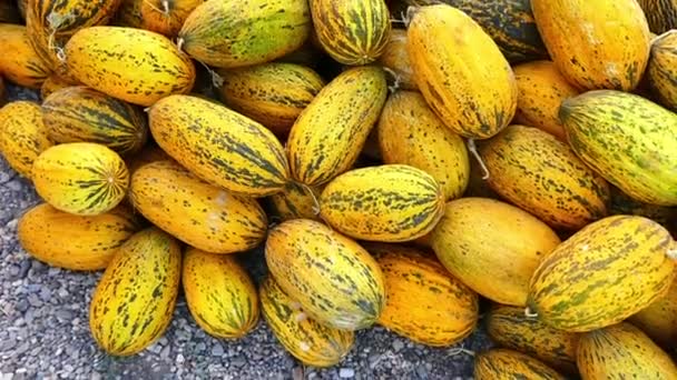 perfekt leckere Melonen am Straßenrand Truthahn verkauft, fantastische Melonen wurden zum Verkauf angeboten, - Filmmaterial, Video