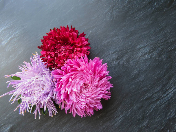 Värikäs aster kukkia muodostavat kehyksen tummalla pohjalla, minimaalinen käsite, ylhäältä, kopioi tilaa tekstin Group Objects
 - Valokuva, kuva