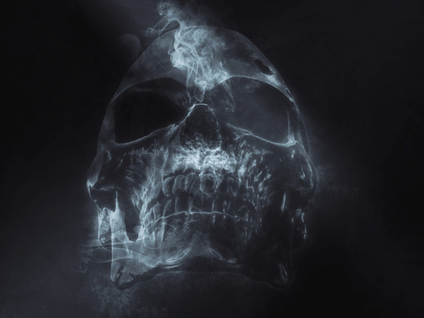 Dark skull made out of smoke - Photo, Image