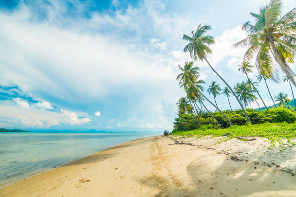 Hermosa playa tropical y mar con palmera de coco en isla paradisíaca
 - Foto, imagen