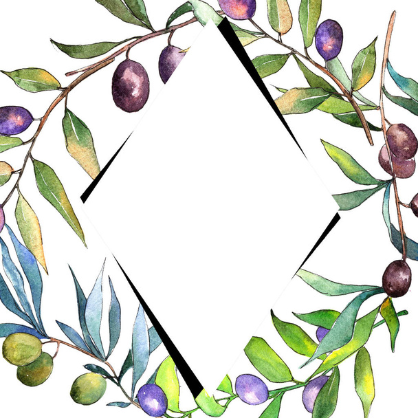 Olive tree in a watercolor style. Frame border ornament square. Full name of the plant: Branches of an olive tree. Aquarelle olive tree for background, texture, wrapper pattern, frame or border. - Foto, imagen