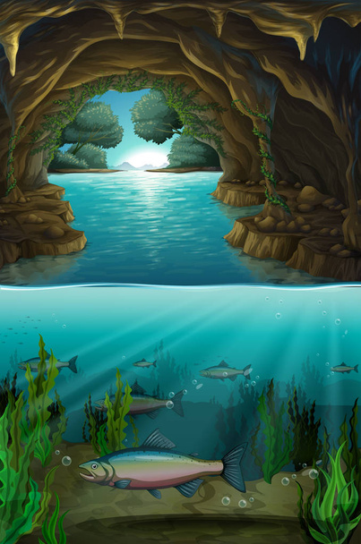 Inside the cabe underwater illustration - Vector, Image