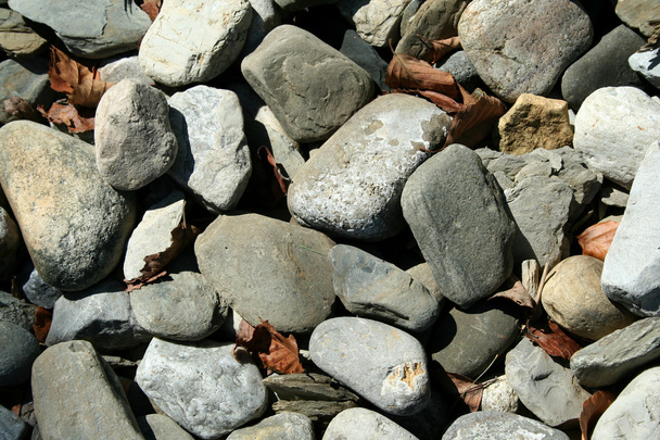 Pedras e folhas mortas fundo
 - Foto, Imagem