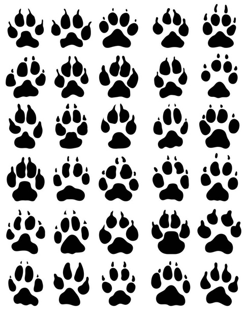 Czarny nadruk łapa psów na białym tle - Wektor, obraz