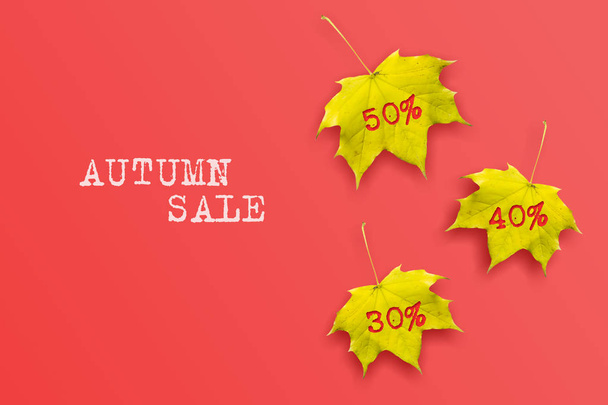 Concept Autumn sale. An inscription with autumn leaves on a red background. Autumn background. - Fotoğraf, Görsel