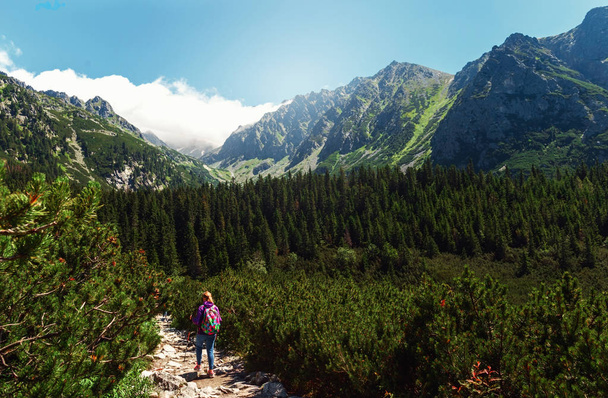 Beautiful mountain landscape with traveler. High tatras mountains in Slovakia - Foto, afbeelding