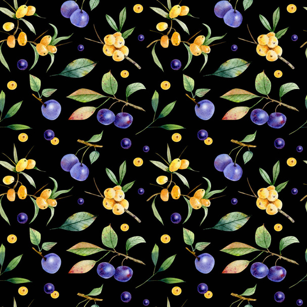 Seamless pattern of branch e berries of buckthorn and sloe - Fotó, kép