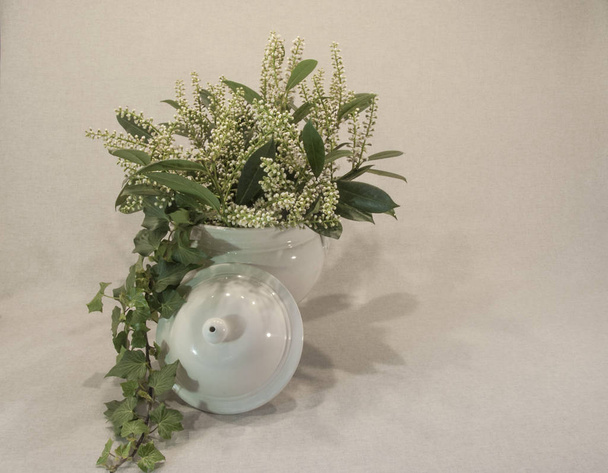 White Flowers and Green Leaves Pouring Out of a White Soup Bowl on an Ivory Background - Photo, Image