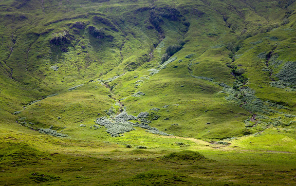 Highlands Authentic grass green  hills Landscape  Scotland Nature Background - Фото, изображение