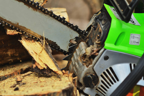 Chainsaw saws a log close up, large chips, bars - Zdjęcie, obraz
