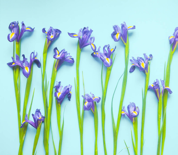 seamless floral pattern on a blue background. - 写真・画像