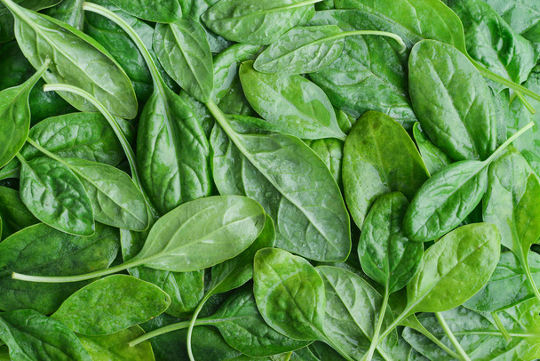 Fresh spinach leaves as background, top view - Fotó, kép