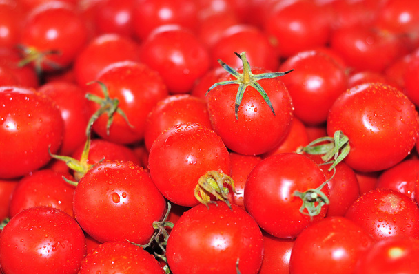Pomidory - Zdjęcie, obraz