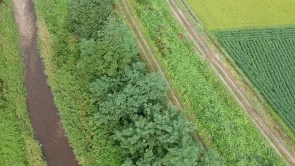 Vista aérea japonés naturaleza río paisaje vídeo filmación
 - Imágenes, Vídeo