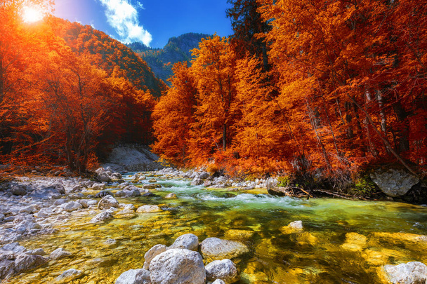 Beautiful colorful autumn landscape with a stream and forest in toned colors. The river in autumn forest and the sun shining through the foliage. Autumn nature landscape. Bohinj, Slovenia - Photo, Image