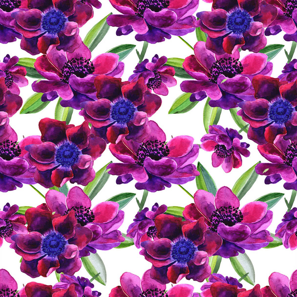  Kaunis violetti kukka. Kukan koko nimi on Anemone. Saumaton tausta. - Valokuva, kuva